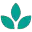 topictea.com