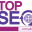 topseo.com.pk