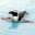 toshio-web.com