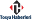tosyahaberleri.com