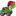 trafficspeedway.com