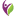 transcure.net
