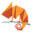 transforma.global