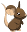 transformice.yolasite.com