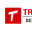 translationservicesmy.com