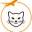travelingwithyourcat.com
