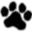 travelwithkitties.com