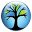 treehouse.com