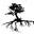 treesofantiquity.com