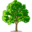 treestats.net