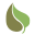 treetime.ca