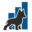 trendingbreeds.com