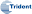 trident.net