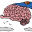trubrain.com