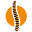 truealignmentchiropractic.com