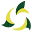 tsqatar.com