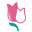 tulip.clinic