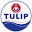 tulip.co.th