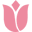 tulip.uz