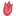 tulipcycling.com