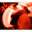 turbochargersplus.com