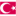 turkishmedia.net