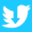 twittervideodownloader.io