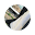 typed.sh