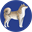 ua.dog
