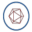 udry.org