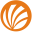 uk-customessays.co.uk
