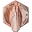 ukim.edu.mk