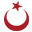 ulusalturk.com