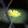 unblocked.li