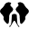 unchartedsupplyco.com