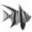 underwatersports.com.au