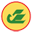uzairways.com