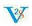 v2sinfosystem.com