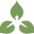 valleyderm.com