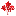vancouvercentralhomestay.com