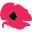 vaseyrslcare.org.au