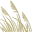vbcoastaldermatology.com