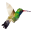 vdigitalcreation.com
