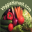 veggieharvest.com