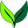 vegoilcar.co.uk