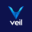 veil-project.com
