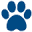 vetsaintaugustin.com