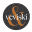 veviski.com