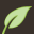 vichortsociety.org