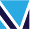 vicusbuilders.com